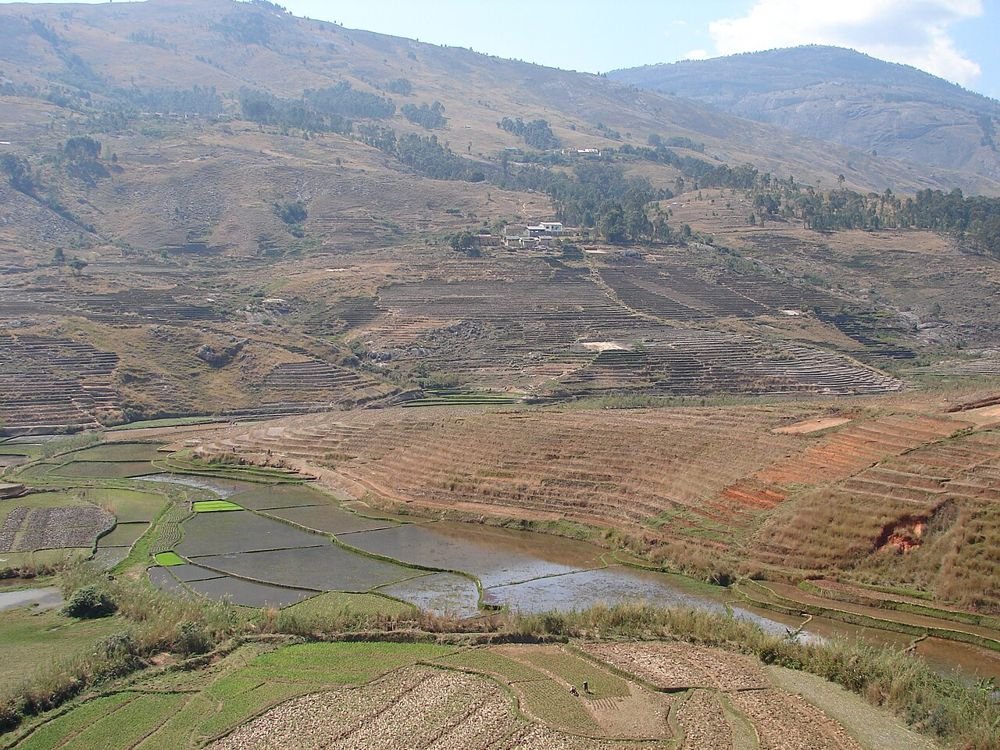 Rizières en terrasses sur les hautes terres de Madagascar