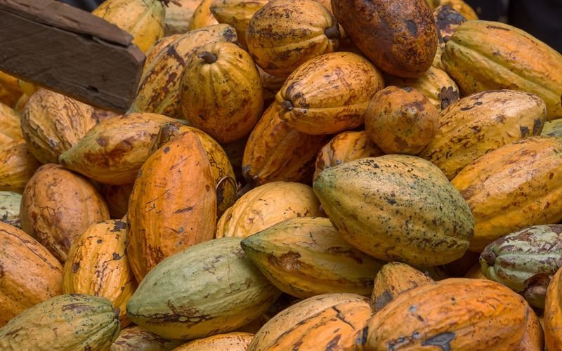 Cacao et café