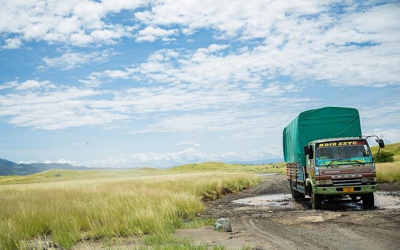 Logistique et livraison : Tanzanie