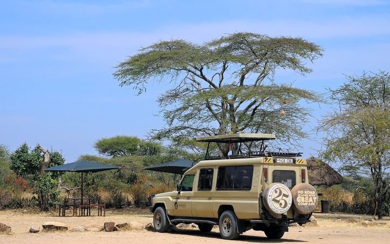 Tourisme : Serengeti (Tanzanie)