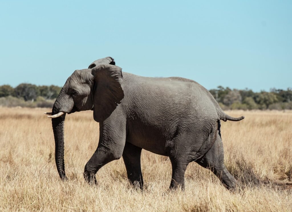 Botswana
