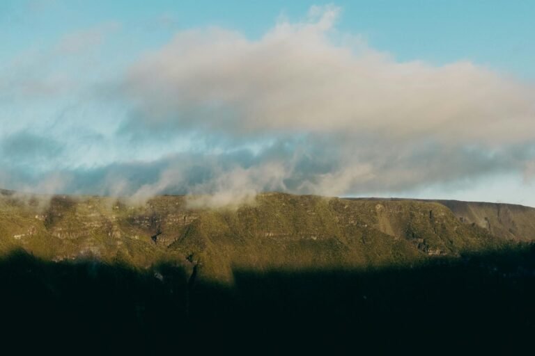Réunion