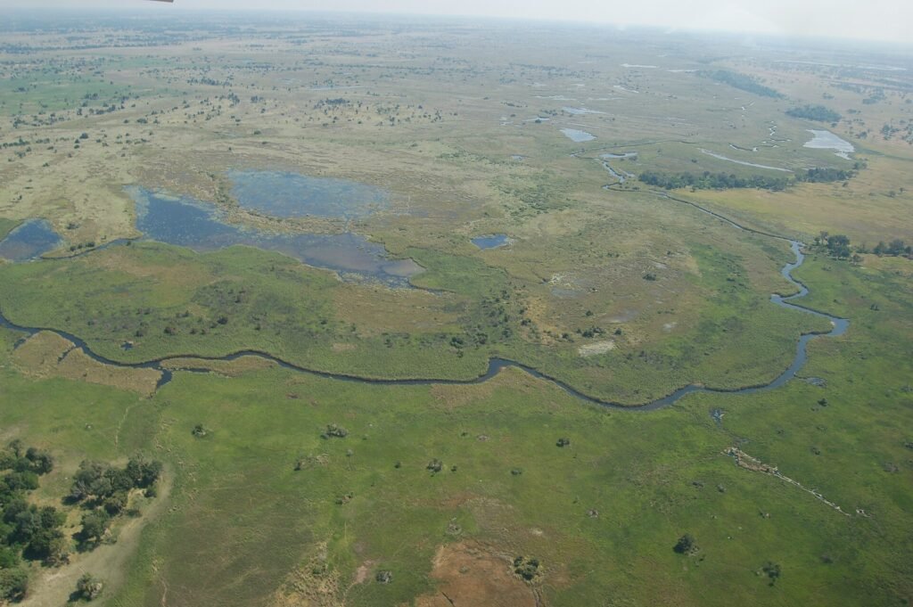 Botswana : delta de l’Okavango, safari et tourisme d’exception