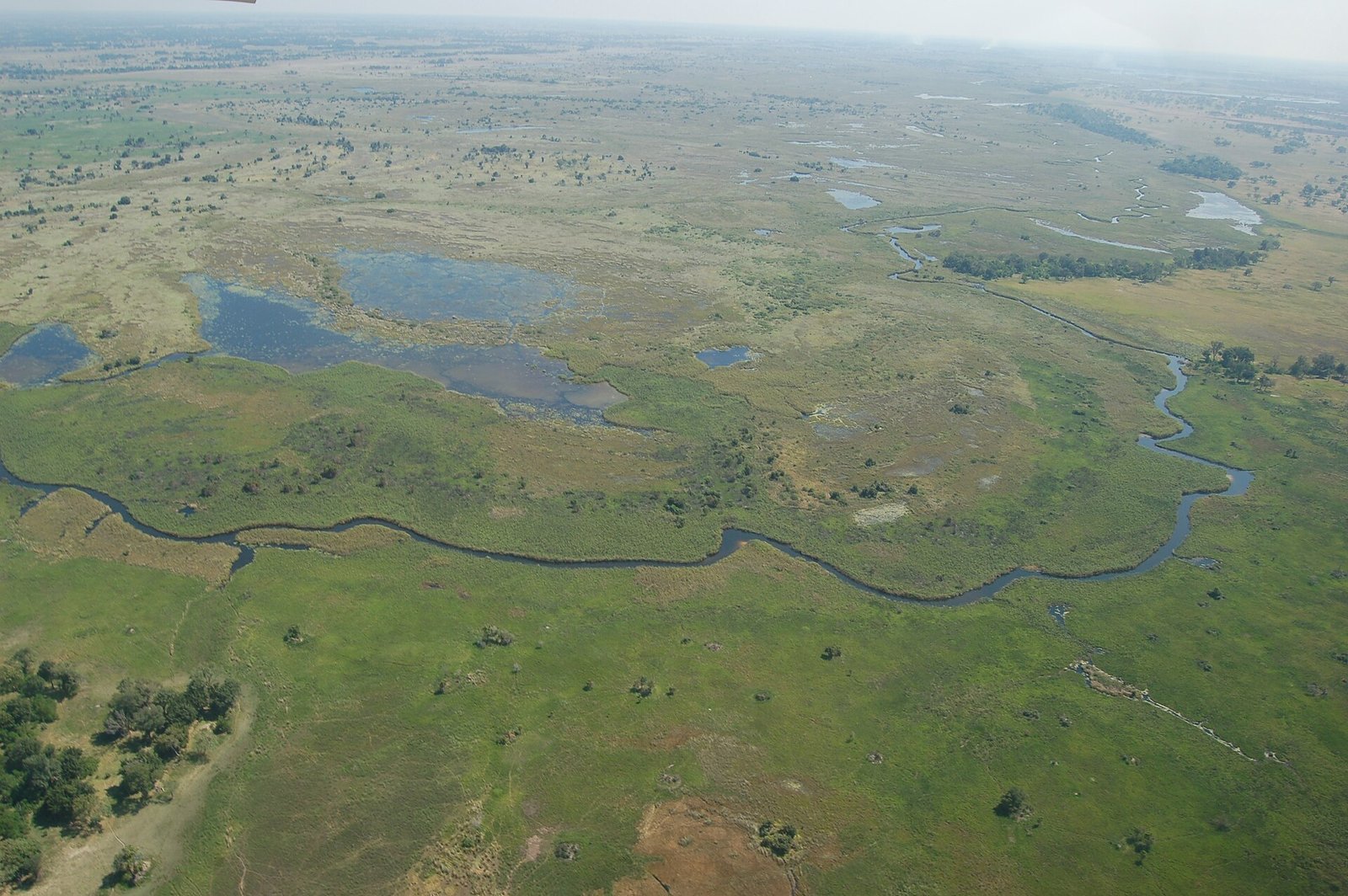 Botswana : delta de l&rsquo;Okavango, safari et tourisme d&rsquo;exception