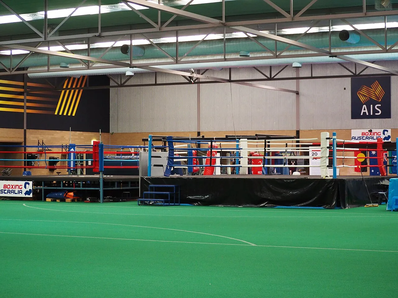 MMA et boxe : comment les combattants africains conquièrent la scène mondiale
