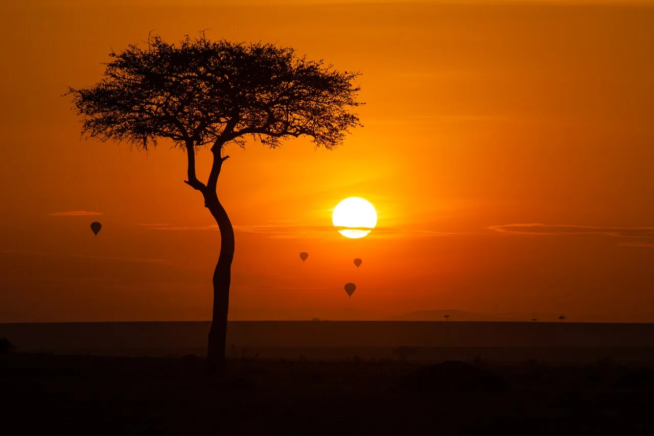 Tourisme au Kenya : Google pour doubler les visiteurs grâce à l&rsquo;IA