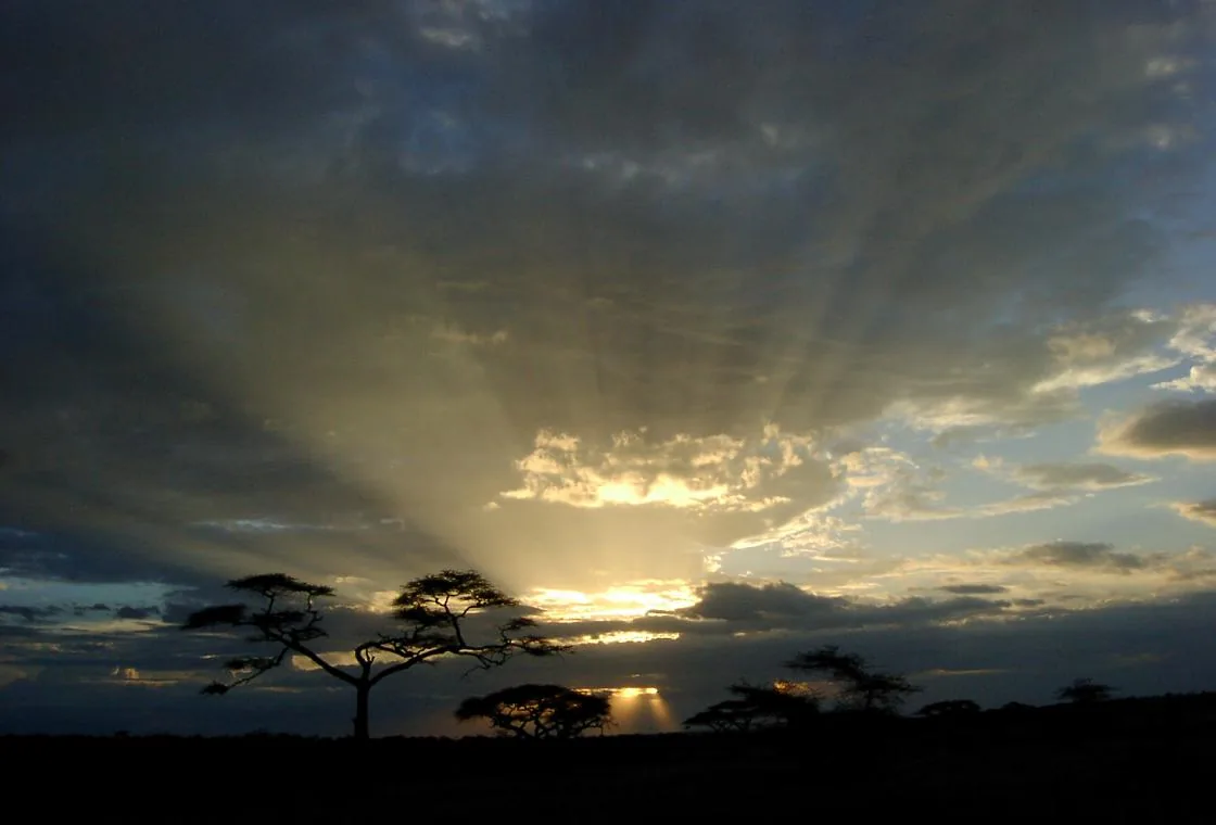 Tourisme en Tanzanie : l&rsquo;envol spectaculaire d&rsquo;un géant