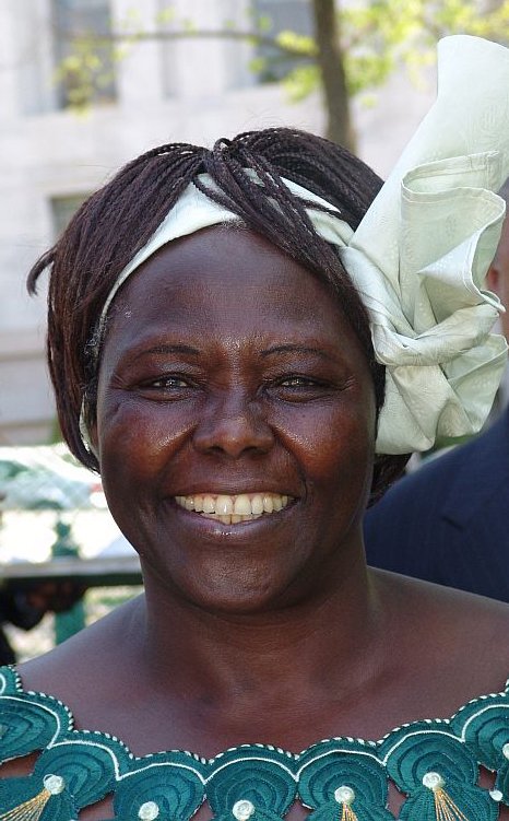 Wangari Maathai, la femme qui plantait des arbres et défiait le pouvoir