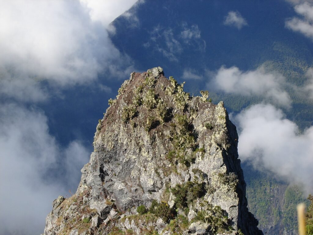 Vivre à La Réunion en 2026 : l&rsquo;île intense
