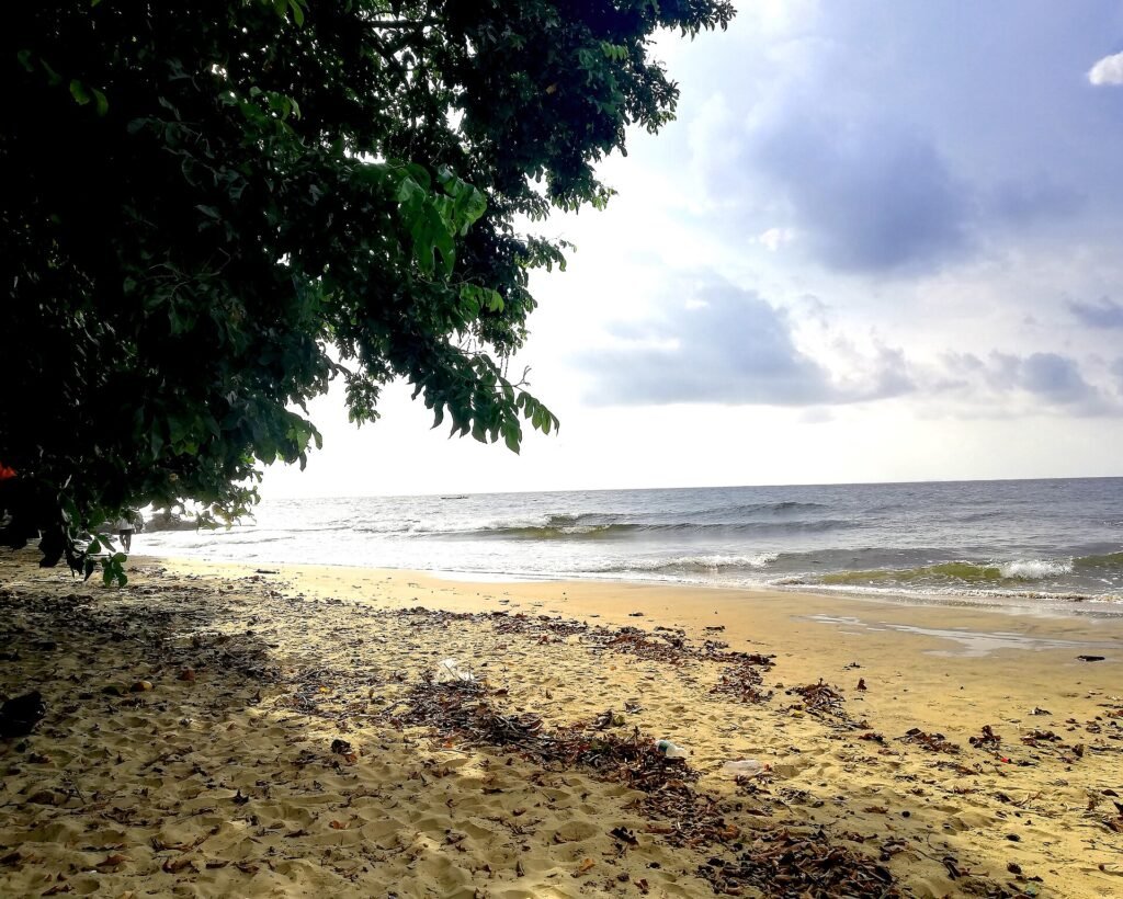 vivre-au-cameroun-2026-plage-lobe.webp Plage de la Lobe sur la cote du Cameroun