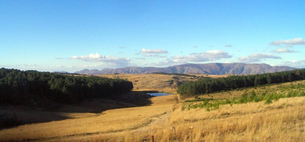 Paysage verdoyant de collines en Eswatini