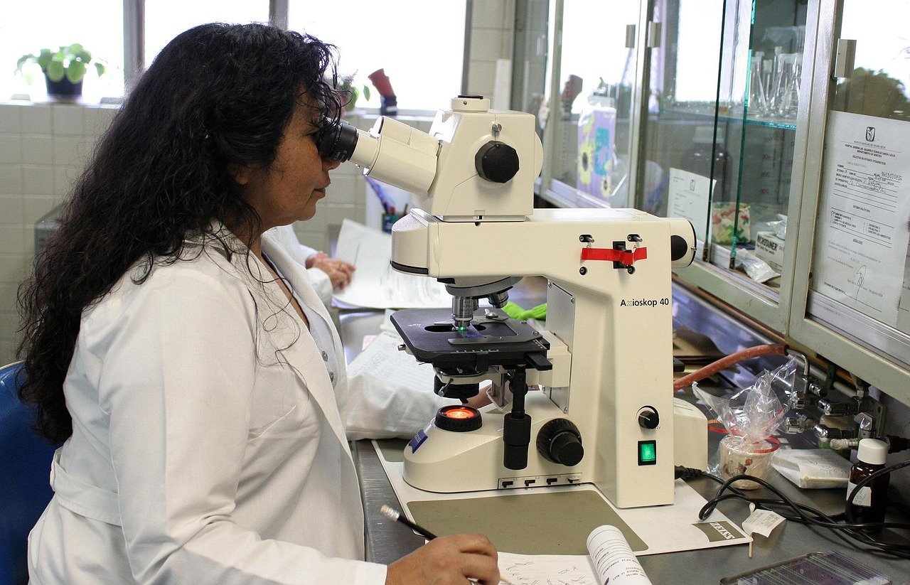 Afrique du Sud : nouvelle stratégie nationale sur l’intelligence artificielle