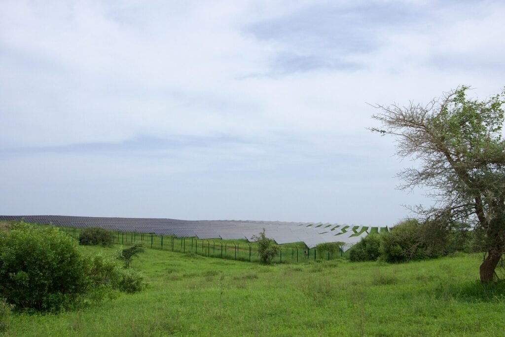 Champ de panneaux solaires au Sénégal