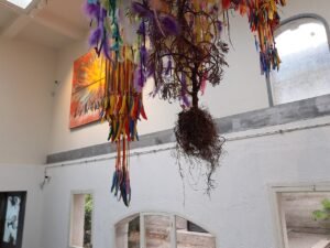 CAN biennale : la CAF revient sur sa décision et rétablit le cycle tous les deux ans