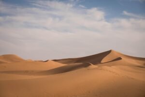 Drame dans le Sahara : 49 Nigériens morts de soif dans le désert