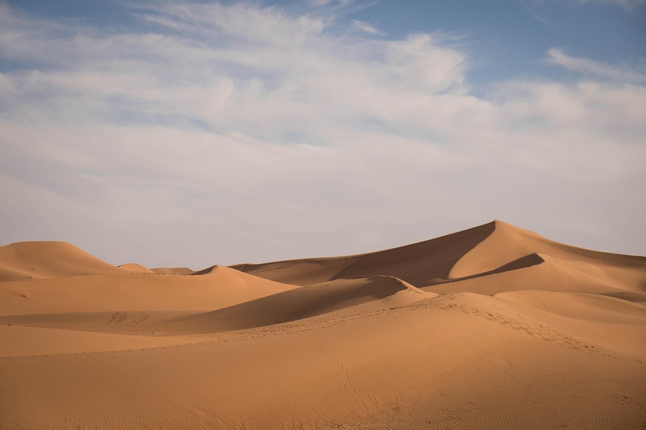 Drame dans le Sahara : 49 Nigériens morts de soif dans le désert