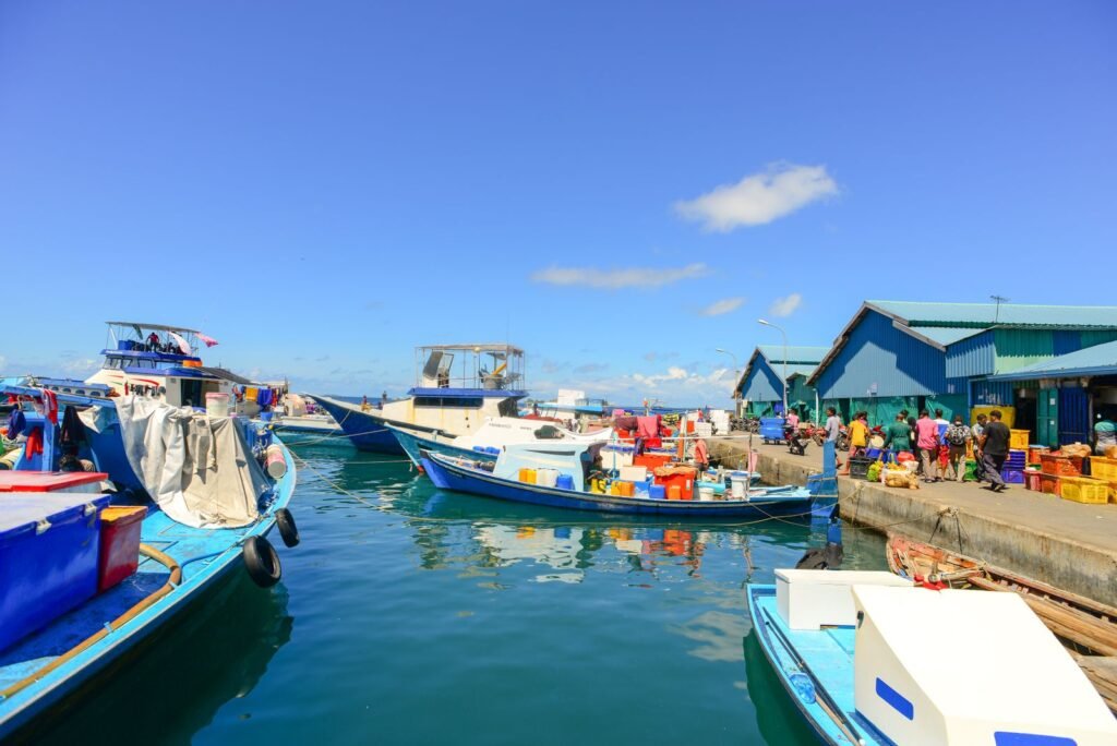 Économie Comores : secteurs clés, ressources et perspectives d'un archipel insulaire