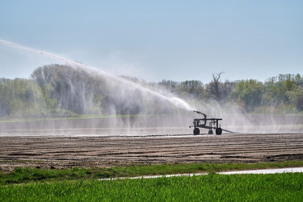 El Niño 2026 : l'Afrique face au risque de sécheresses et de tensions alimentaires