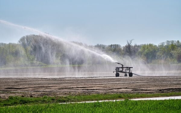 El Niño 2026 : l’Afrique face au risque de sécheresses et de tensions alimentaires