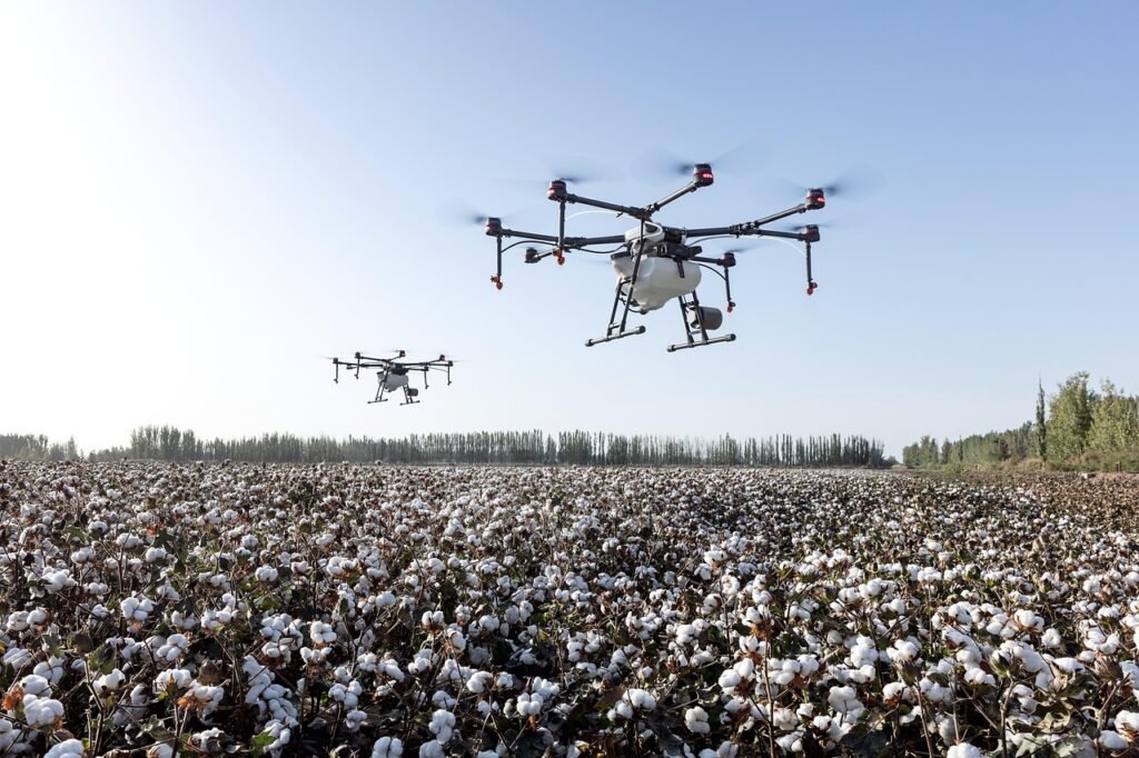 Filière coton au Bénin : premier producteur d'Afrique, cap sur la transformation
