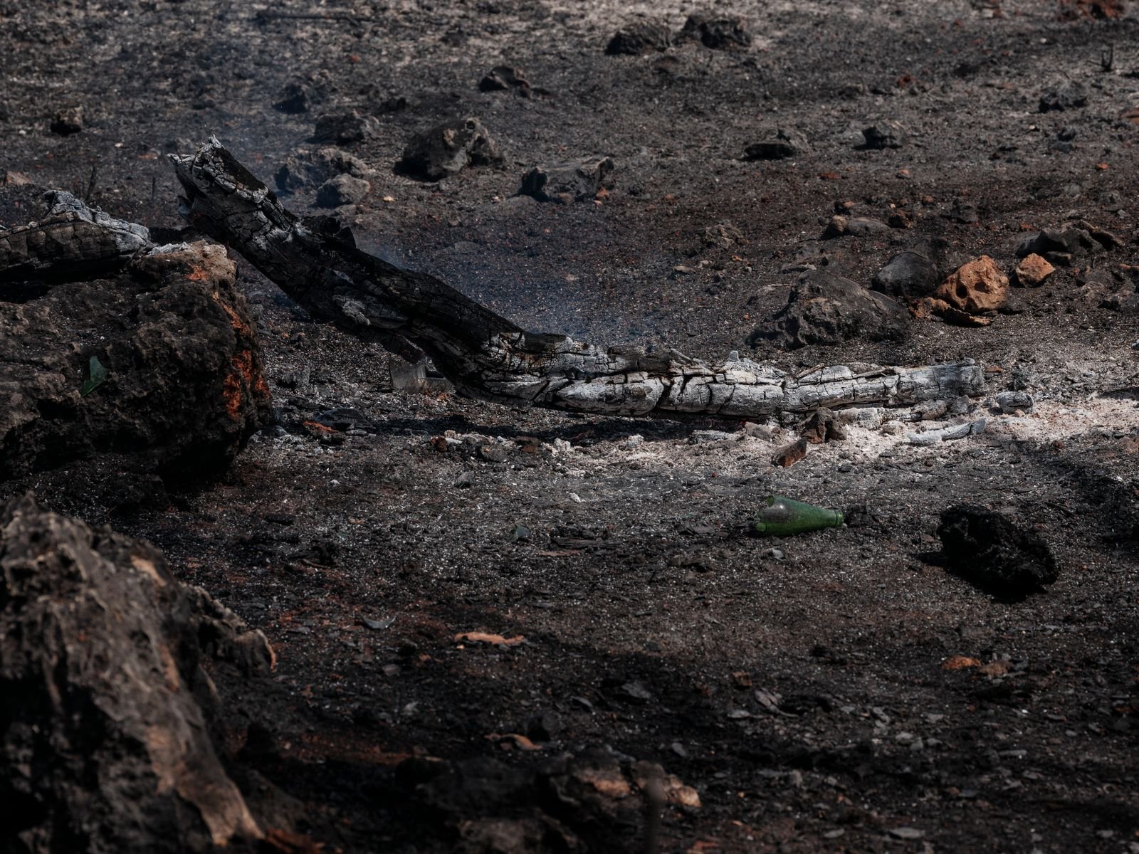Incendies France : les gendarmes traquent les auteurs présumés de départs de feu