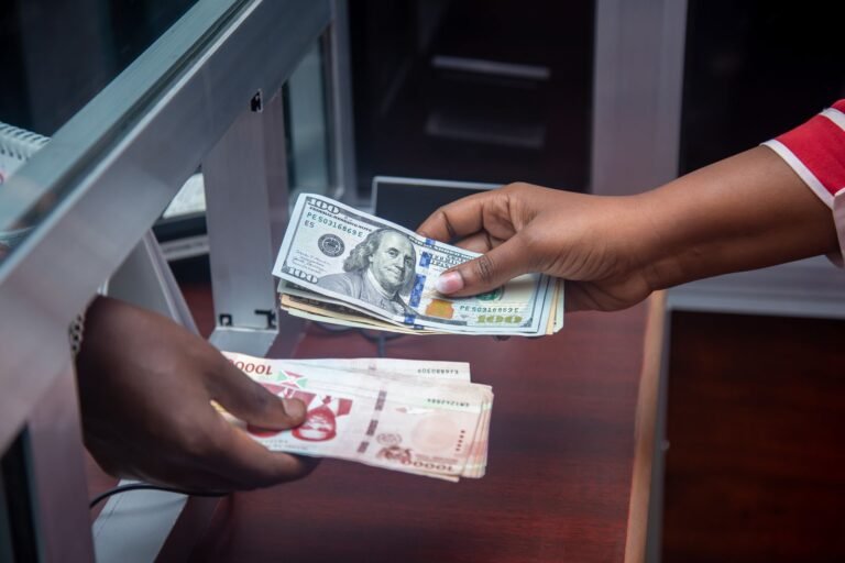 La BAD veut faire de l&rsquo;épargne de la diaspora un moteur du développement