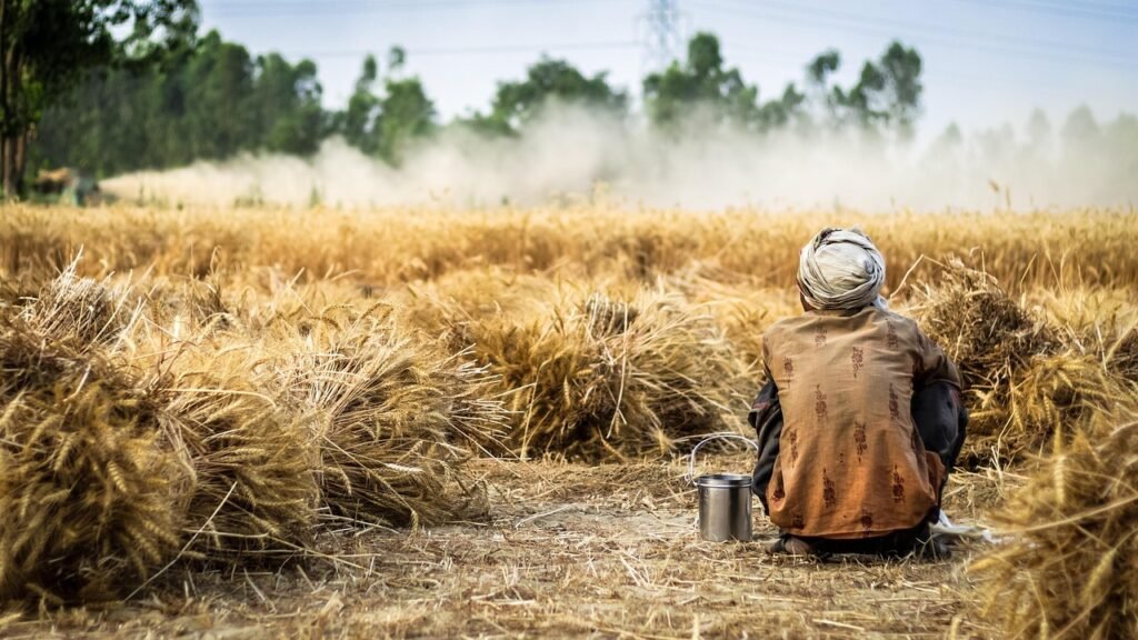 Maroc agriculture France : un partenariat agricole strategique en Afrique du Nord