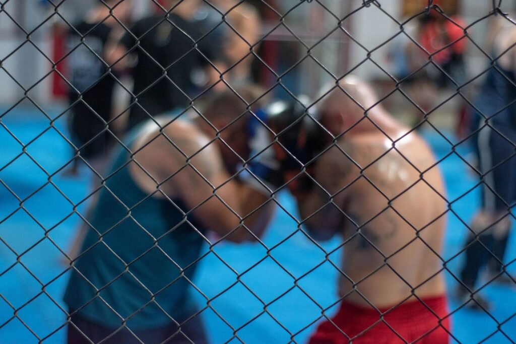MMA et boxe : comment les combattants africains conquièrent la scène mondiale