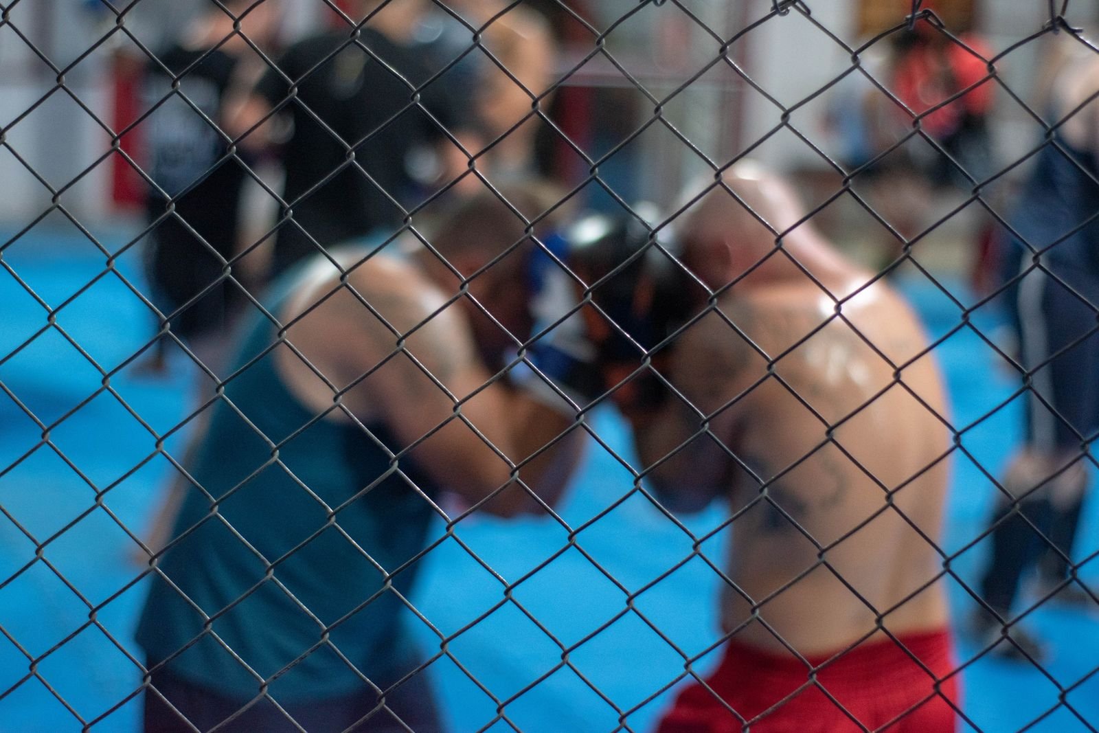 MMA et boxe : comment les combattants africains conquièrent la scène mondiale