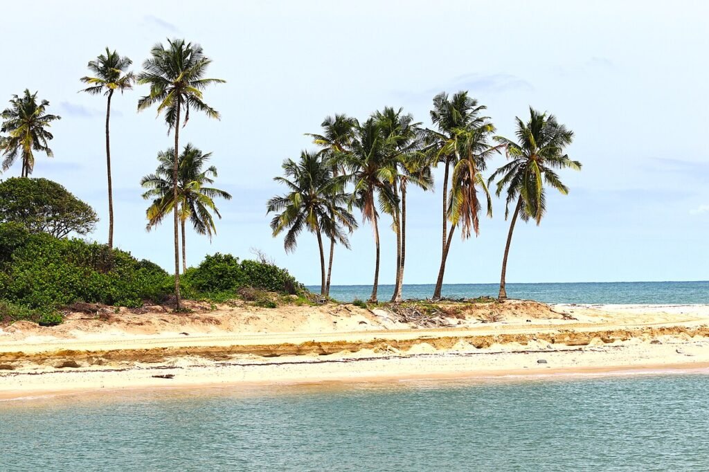 NNPC Dangote : comment la raffinerie bouleverse le marché pétrolier nigérian