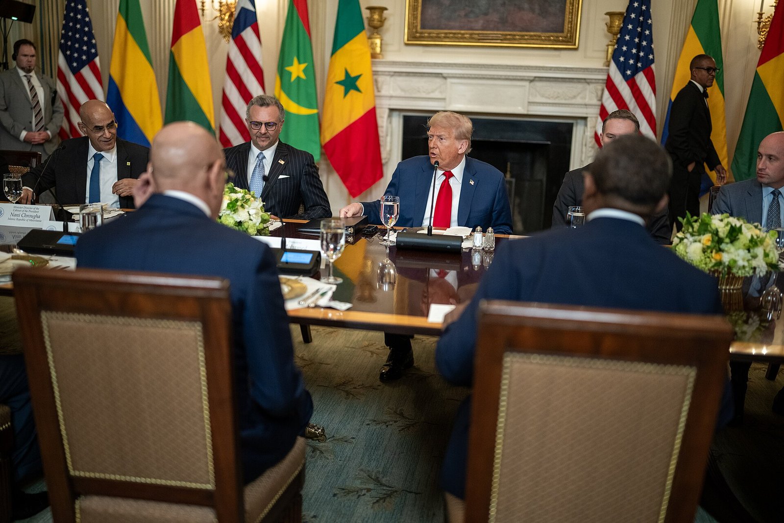 Politique africaine Trump : comprendre les orientations de Washington envers l&rsquo;Afrique