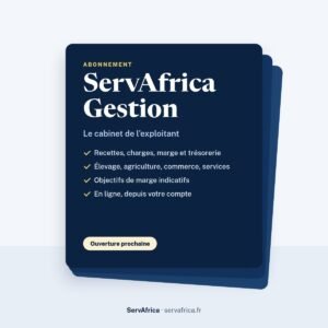 Couverture ServAfrica : ServAfrica Gestion