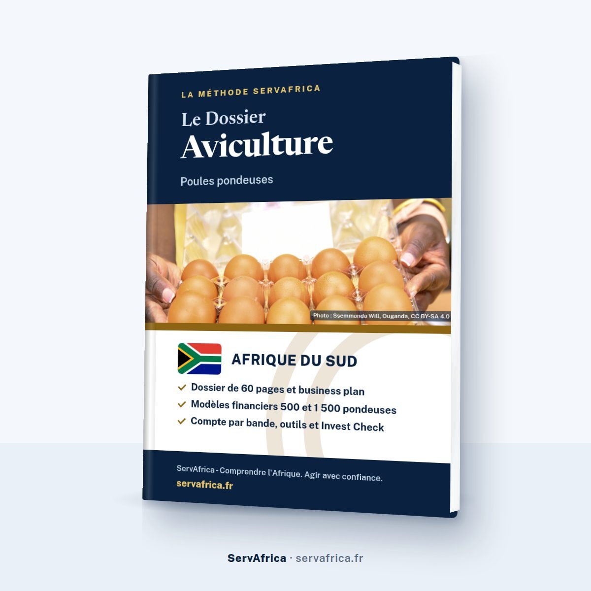 Couverture ServAfrica : Le Dossier Aviculture — Poules pondeuses · Afrique du Sud