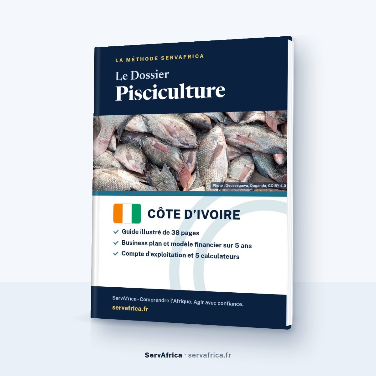 Couverture ServAfrica : Le Dossier Pisciculture Côte d’Ivoire 2026