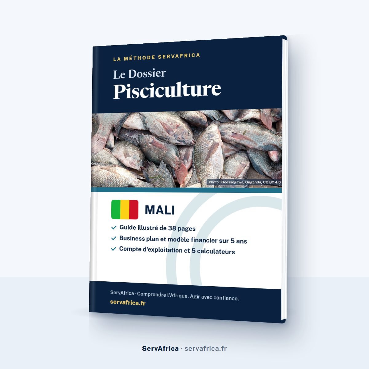 Couverture ServAfrica : Le Dossier Pisciculture Mali 2026