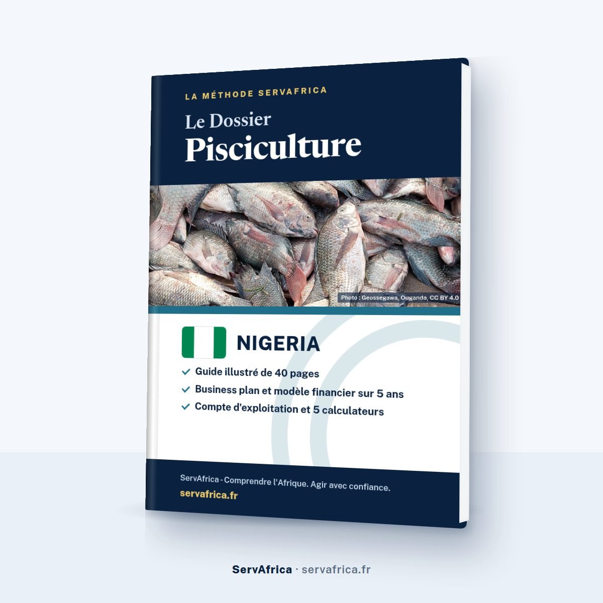 Couverture ServAfrica : Le Dossier Pisciculture Nigeria 2026