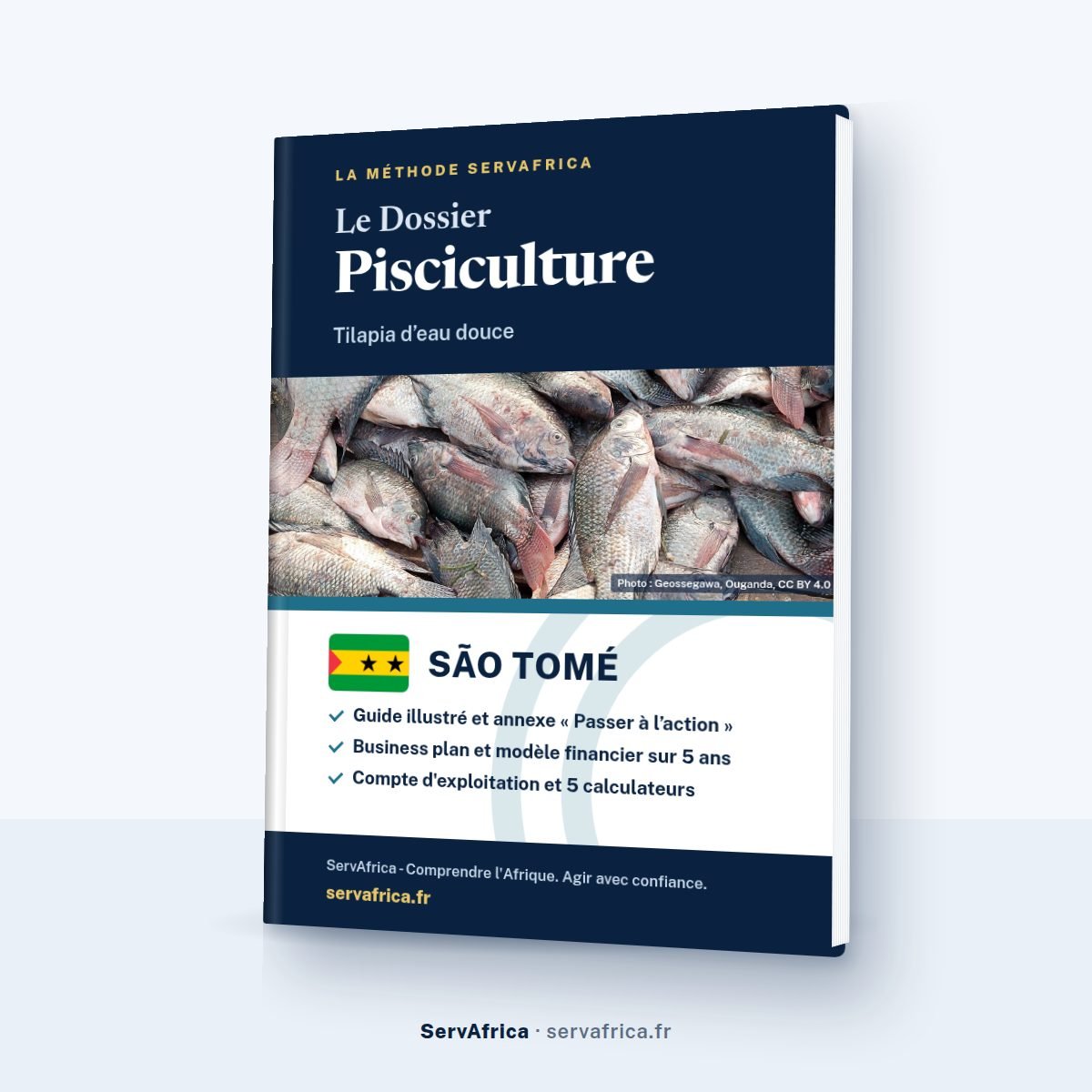 Couverture ServAfrica : Le Dossier Pisciculture São Tomé 2026 — Tilapia d’eau douce