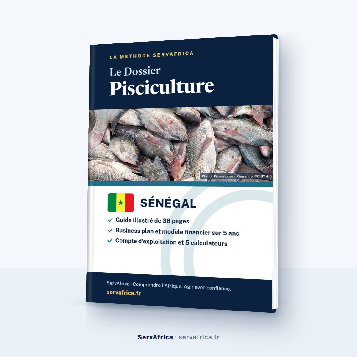 Couverture ServAfrica : Le Dossier Pisciculture Sénégal 2026