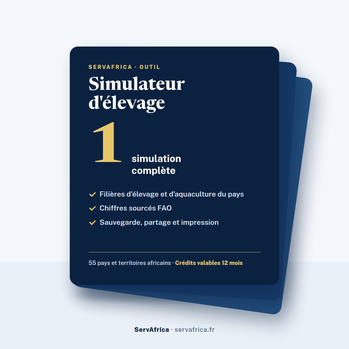 Couverture ServAfrica : Simulateur d’élevage : 1 simulation complète