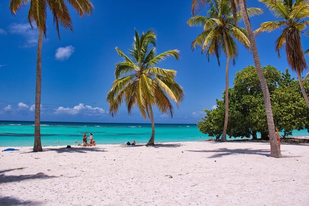 Tourisme Afrique : le Top 10 des pays du Travel Tourism Development Index 2026