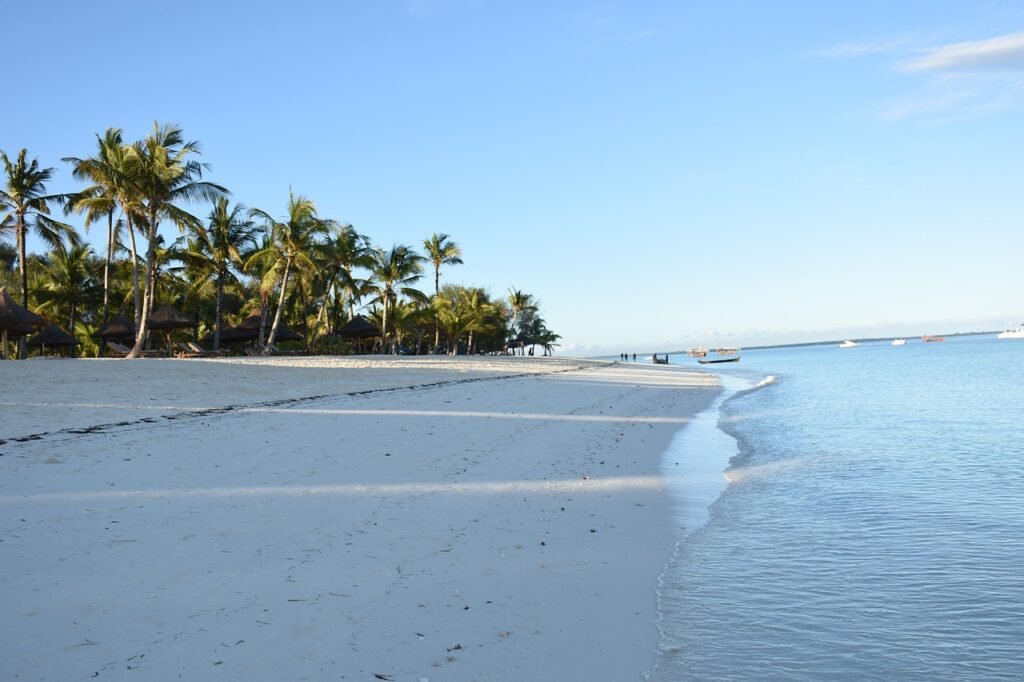 Tourisme en Tanzanie : du Serengeti à Zanzibar, une destination record