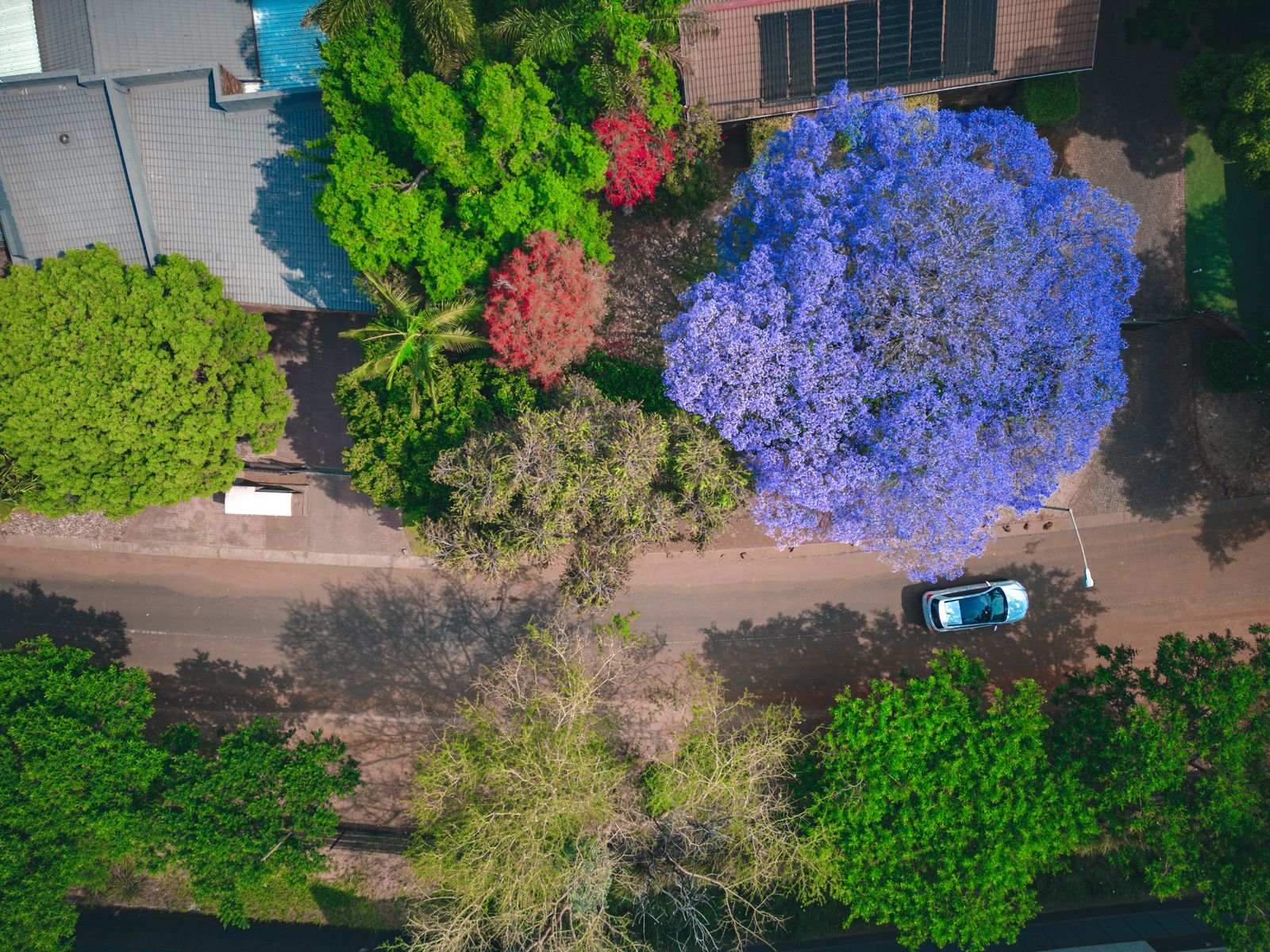 Waterkloof Pretoria : la « forteresse verte » au cœur de la capitale sud-africaine